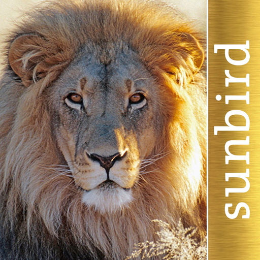 The Golden Safari Guide app icon