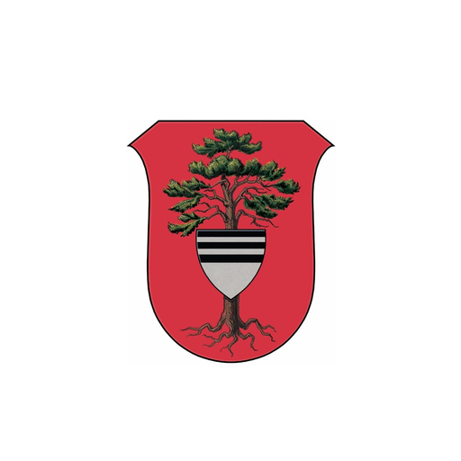 Týniště nad Orlicí app icon