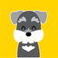 Poodle Puppy Animated Stickers icon