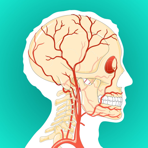 Anatomy and Physiology GO app icon