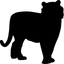 Cats - Quiz icon
