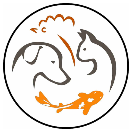 CAH Austin app icon