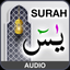 Surah Yaseen + 7 Mubeen wazifa icon