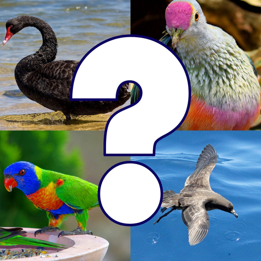 Bird Quiz - Birds of Australia app icon