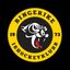 Ringerike Panthers icon