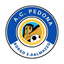 PEDONACALCIO icon
