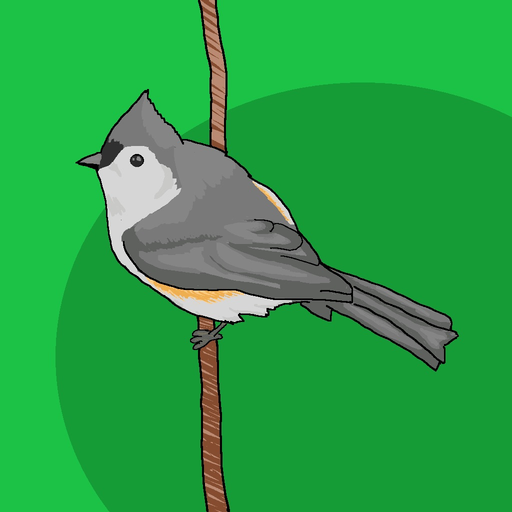Word of the Bird app icon