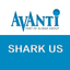 Avanti Shark US icon