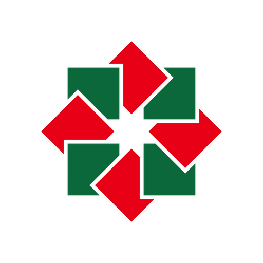 PASHA Bank Georgia app icon
