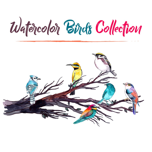 Birds Stickers! app icon