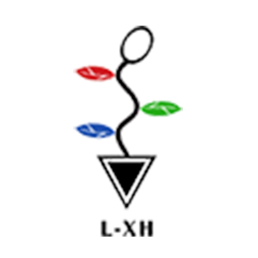 Scoliosis Tools app icon