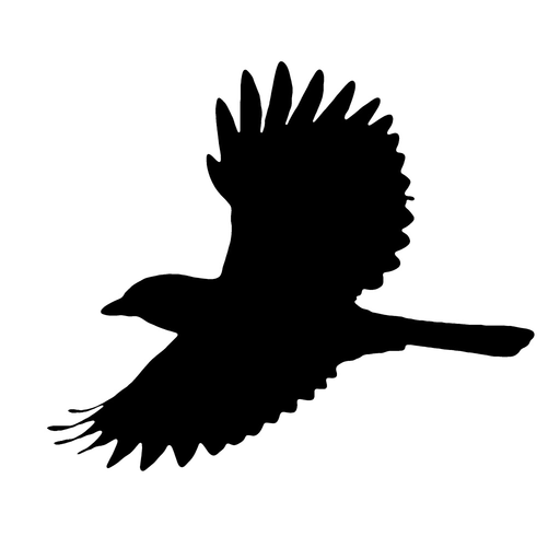 Fuglefeltguiden app icon