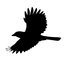 Fuglefeltguiden icon