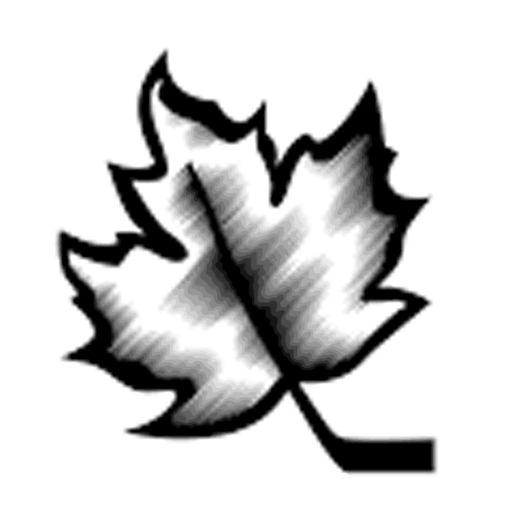 CSSHL app icon