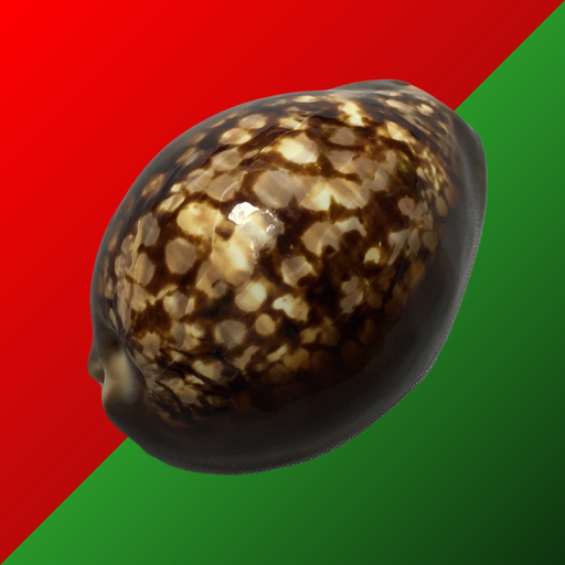 Cowry Dice app icon