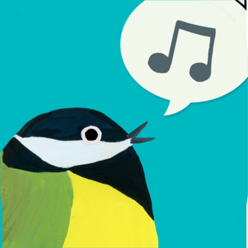 Birdie Memory app icon
