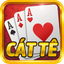 Catte Offline icon