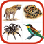 Wildlife Southern Africa icon