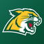Northern Michigan Wildcats icon