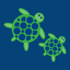 HubbardSwim icon