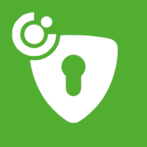 DSK mToken app icon