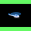 Classic Helicopter Game Mobile icon