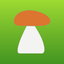 My Mushroom Locations icon