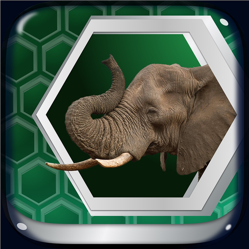 UlterioSafari app icon