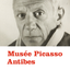 Picasso Antibes icon