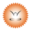Platinum Yoga icon
