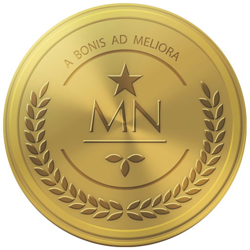 Meso Numismatics app icon