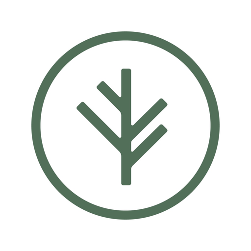 Branch Insurance app icon