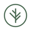 Branch Insurance icon