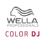 Color DJ icon