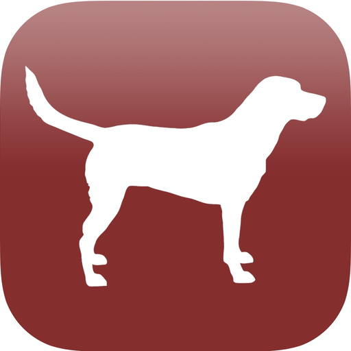 Dog Breed Scanner app icon