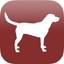 Dog Breed Scanner icon