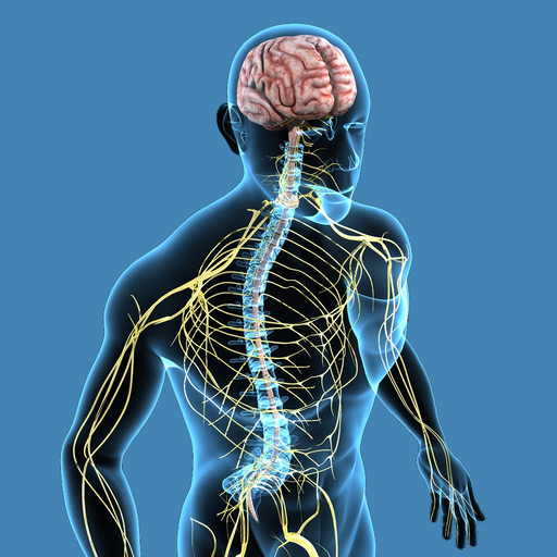 Nervous System Quizzes app icon