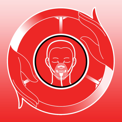 BASIC LR Provider app icon