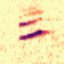 Birdgram US icon