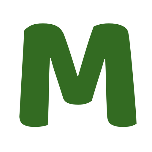 MoneyOffice.Biz app icon