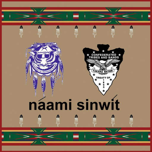 Náami Sinwít app icon