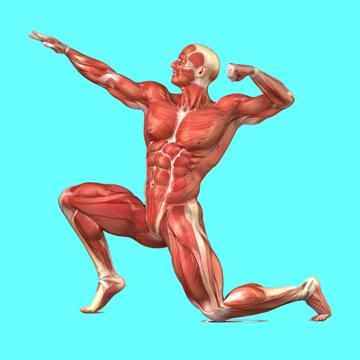 Muscular System Quizzes app icon