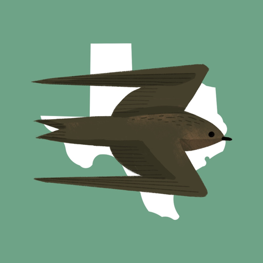 Texas Birds Sticker Pack app icon