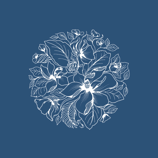 Old Town Park app icon