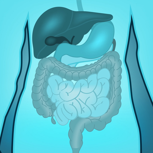 Digestive System Quizzes app icon
