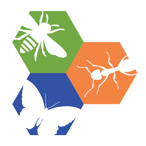 Philly Insects AR app icon