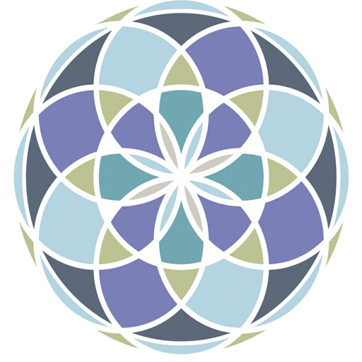 DaVinci Academie VR app icon