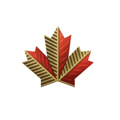 My Transition Services app icon