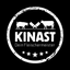KINAST icon