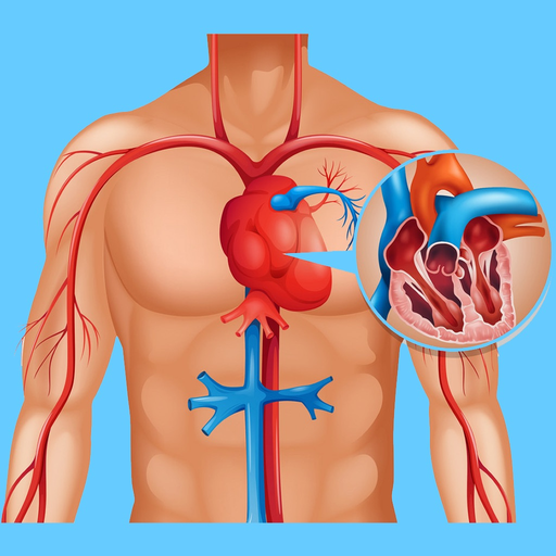 Cardiovascular System Quizzes app icon